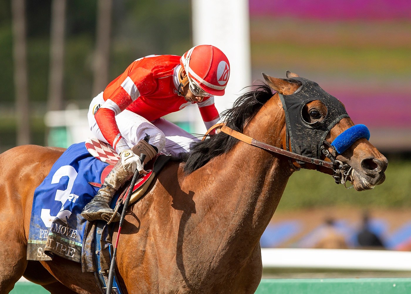 Yakteen Derby hopefuls running through four time zones